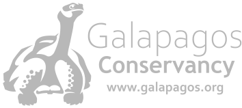 galapagos photography tours